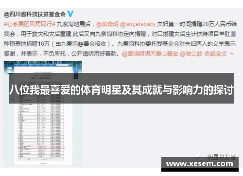 八位我最喜爱的体育明星及其成就与影响力的探讨