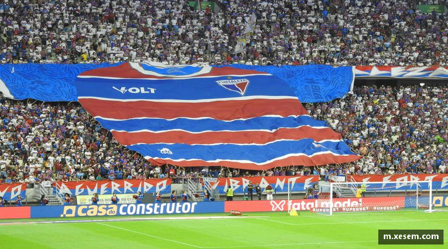 美嘉体育平台热血赛事，每一秒都值得尖叫！🔥