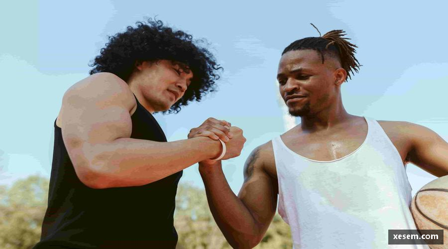 美嘉体育平台团结奋进，共赢未来！