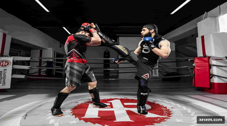 美嘉体育平台直播瞬间，全球同频！📱🏀